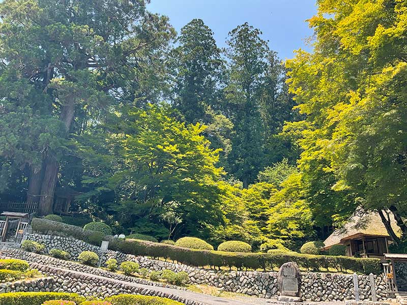 園外からみた吉水園